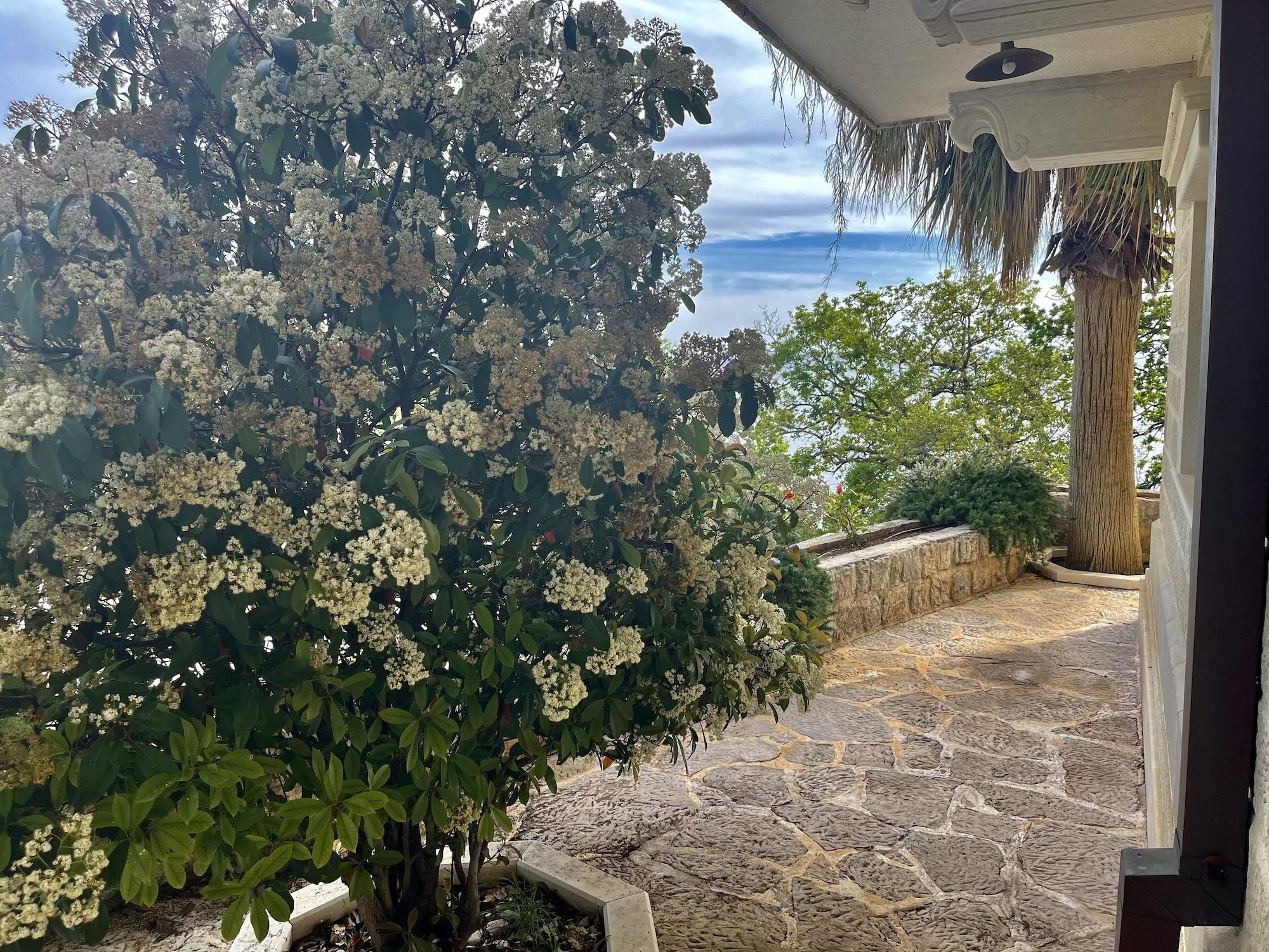 Apartments Pietra Mare Petrovac 外观 照片