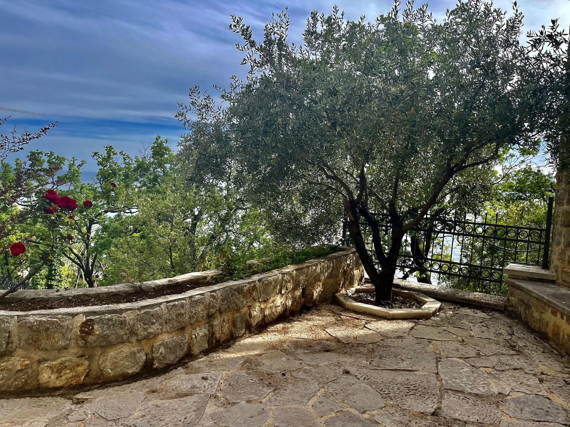 Apartments Pietra Mare Petrovac 外观 照片